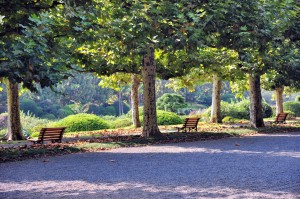 20111005.jpg