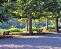 Photo : Greenery Changes Cities