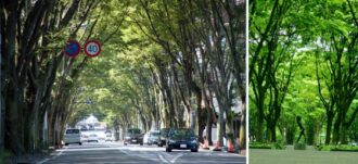 Photo : Greenery Changes Cities4